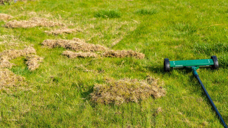 A person is detatching their lawn.