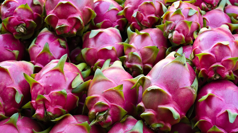 pile of pink dragon fruits