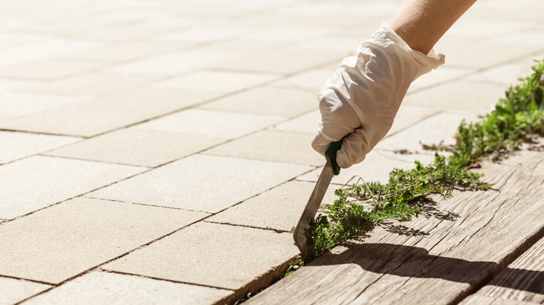 weeds being removed