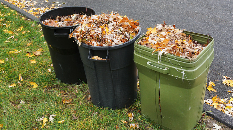 yard waste in bins