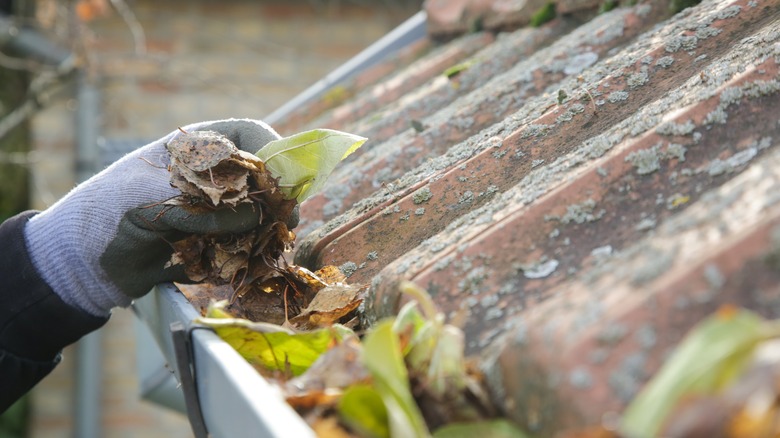 someone cleaning the gutters