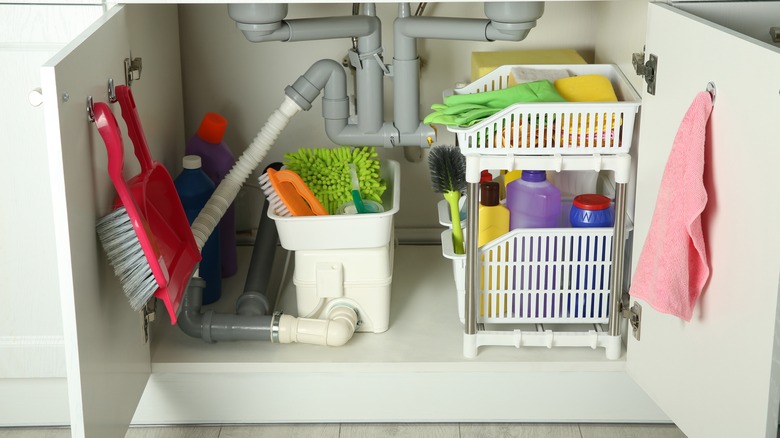 cleaning supplies under kitchen sink