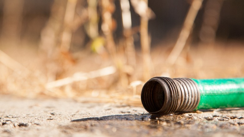 Green garden hose on dry ground