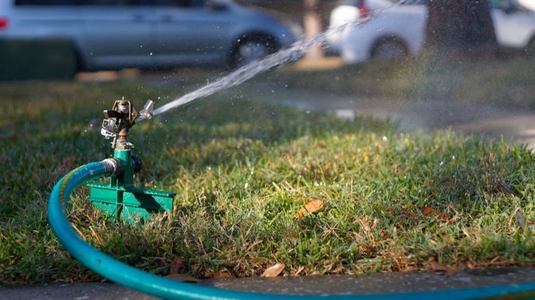 Lawn impact sprinkler