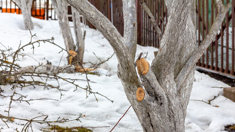 Stub cut pruning