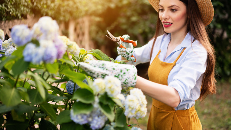 Woman pruning a flower bush