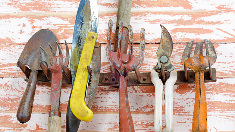 Collection of rusty equipment