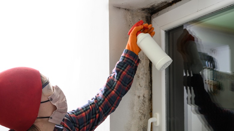 PPE-protected woman spraying window