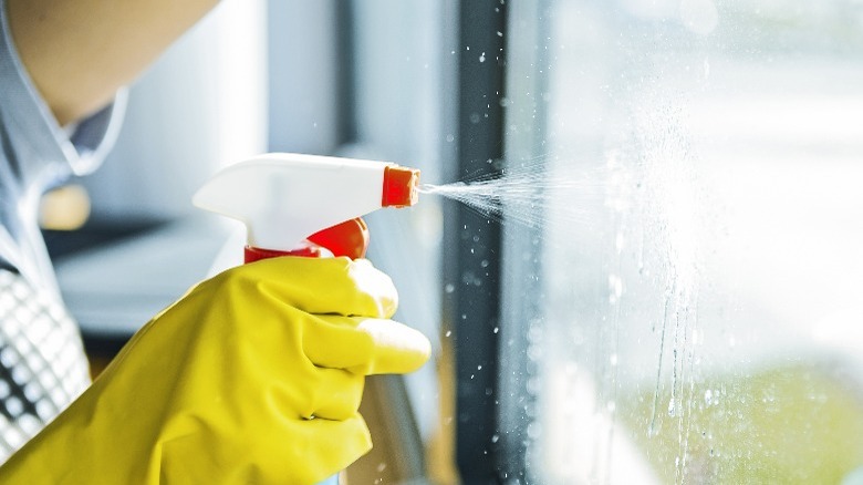 person cleaning glass window