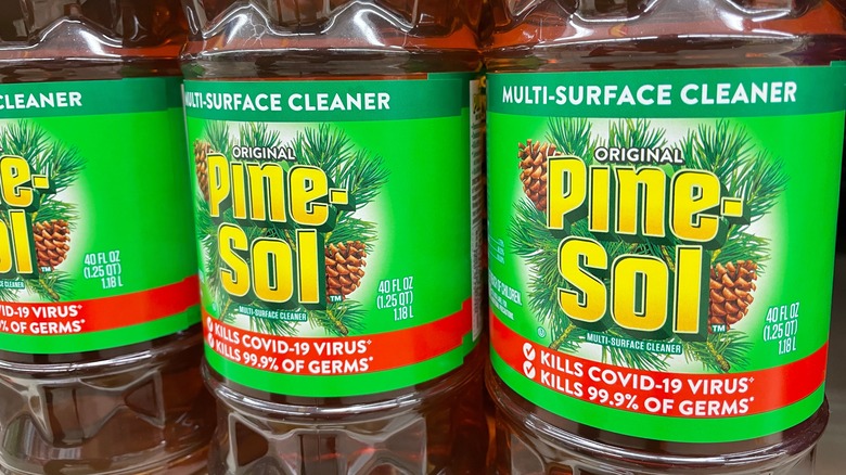 Pine-Sol bottles closeup