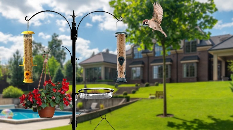 A bird stands on a bird feeder. 