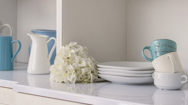 Plates and mugs on open shelf