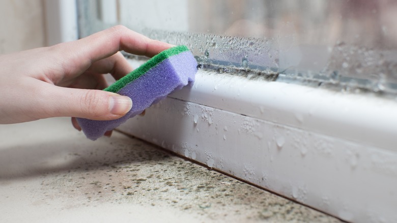 cleaning mold from windowsill 