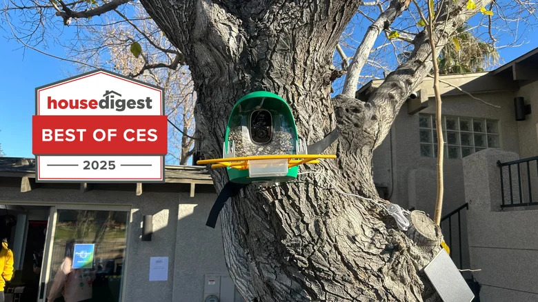 Bird feeder with camera on tree, with "House Digest Best of CES 2025" badge overlayed