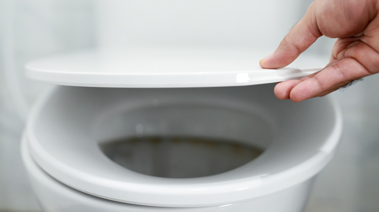 Hand opening toilet lid