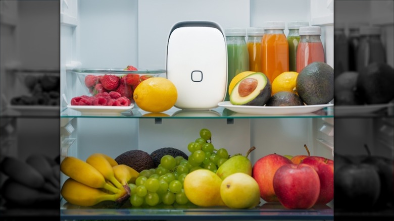 Vitesy Shelfy on fridge shelf