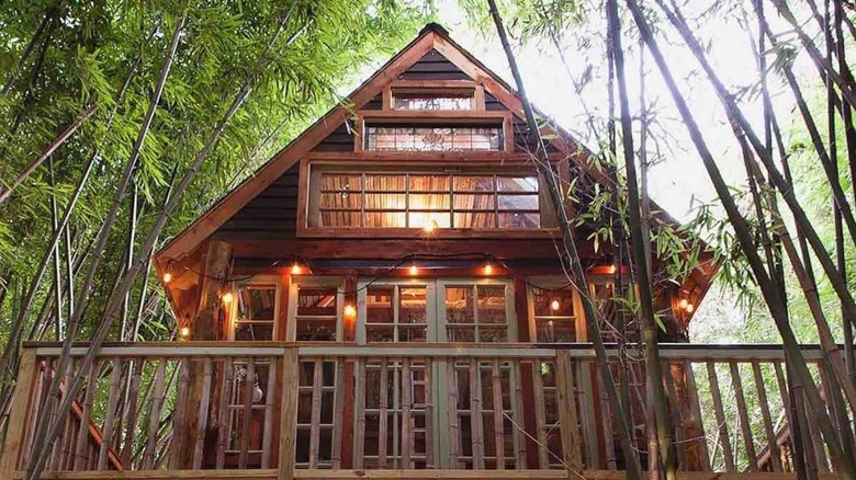 Alpaca Treehouse in Atlanta, Georgia