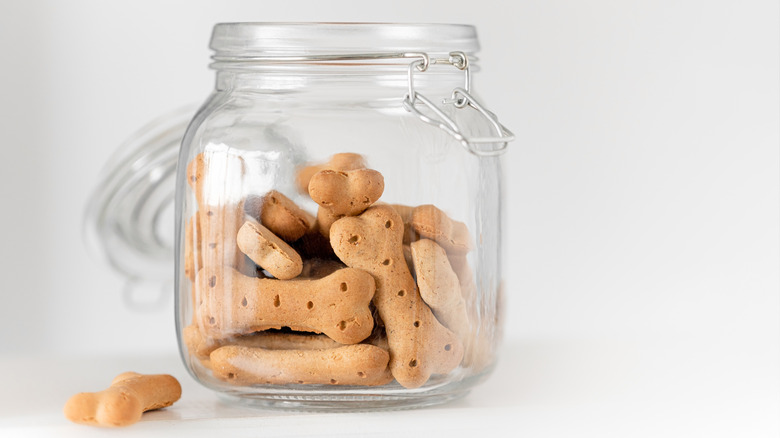 dog treat jar