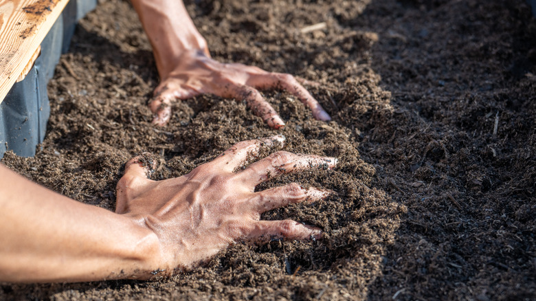 Preparing soil outside 