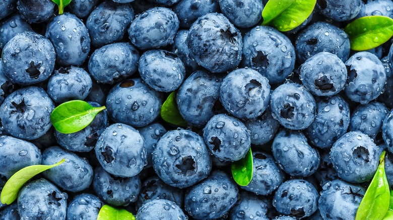 Ripe blueberries