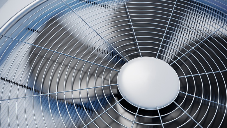 close up of fan