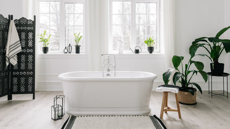 Plants in white bathroom