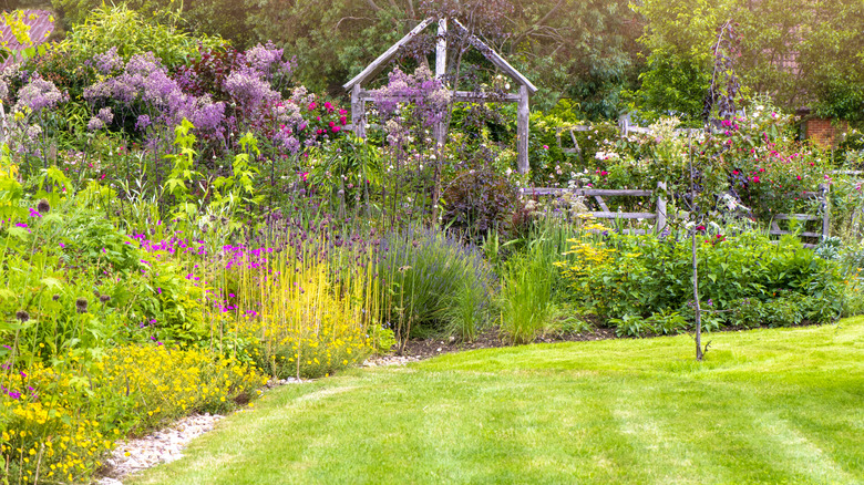 cottage garden in bloom