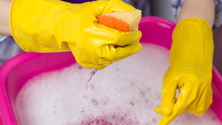 Wringing out a sponge with soapy water