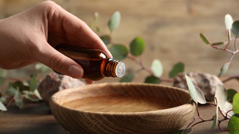 Eucalyptus oil mixed into water