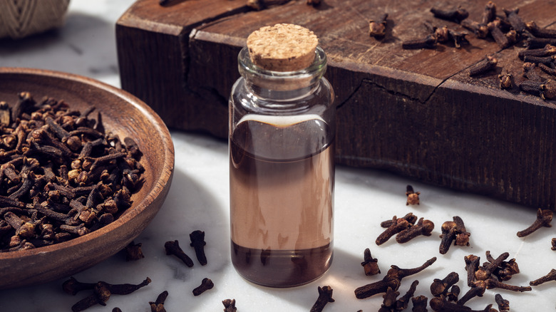 bottle of clove oil surrounded by fresh cloves