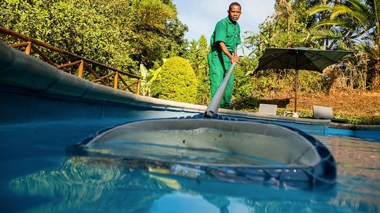 Man cleaning swimming pool