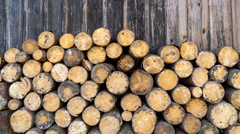 wood pile against a wooden fence