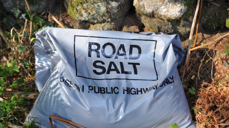 bag of road salt