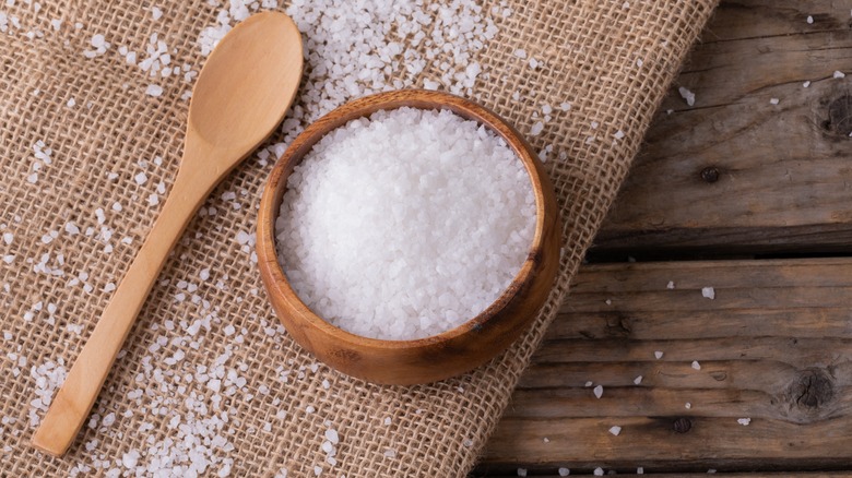 wooden spoon and rock salt in bowl