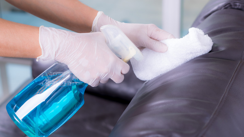 cleaning leather couch with Windex