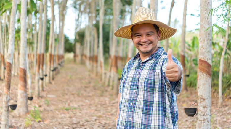 Rubber grower gives thumbs-up