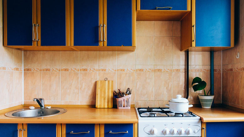 Pink kitchen with blue cabinetry