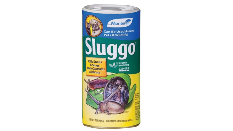 can of sluggo pesticide