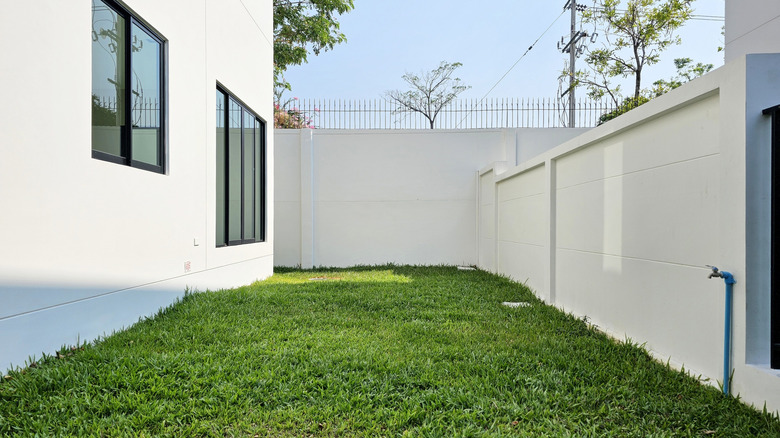 The side yard between a house and the fence with just grass