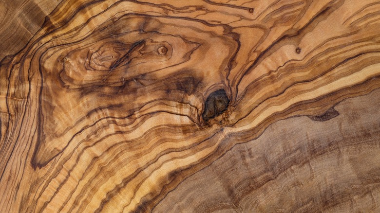 close-up of olive wood