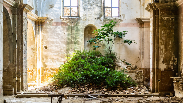 Abandoned courtyard