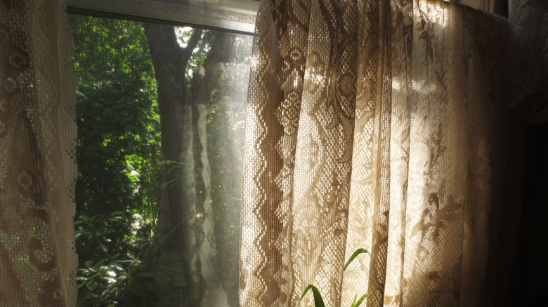 antique lace curtains over sunlit window