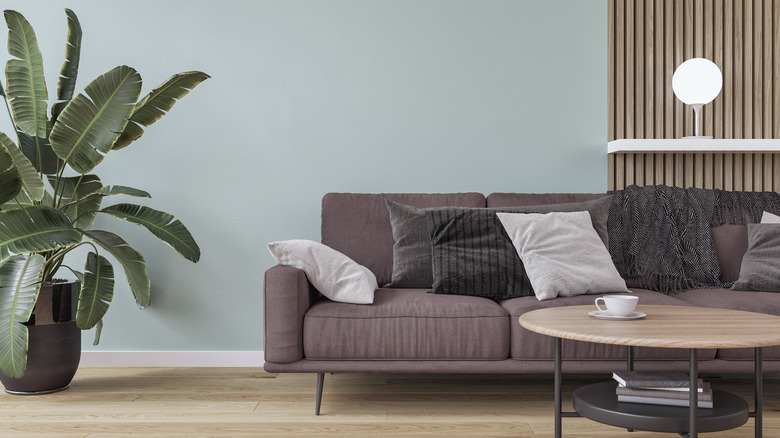 A living room is painted with a dull mint green.