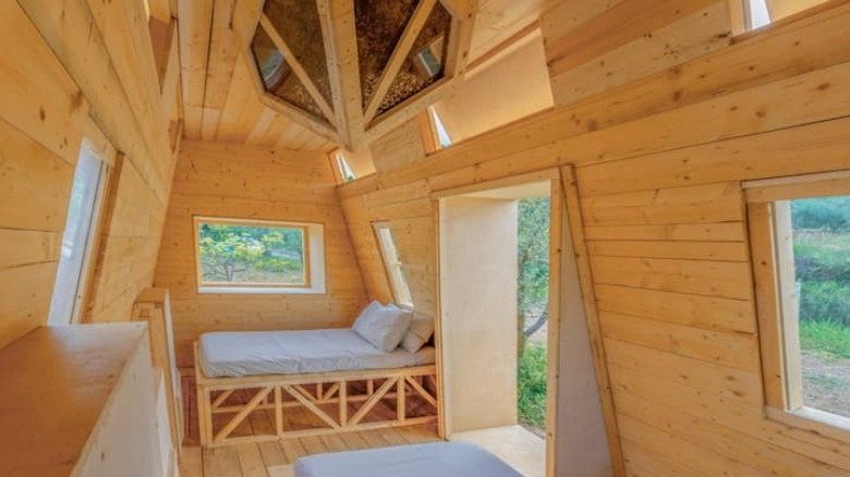 Inside bee filled Airbnb