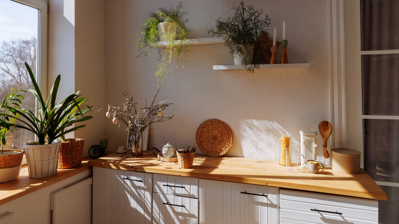 Kitchen counter with plants