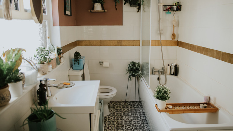 A small bathroom with no light fixtures