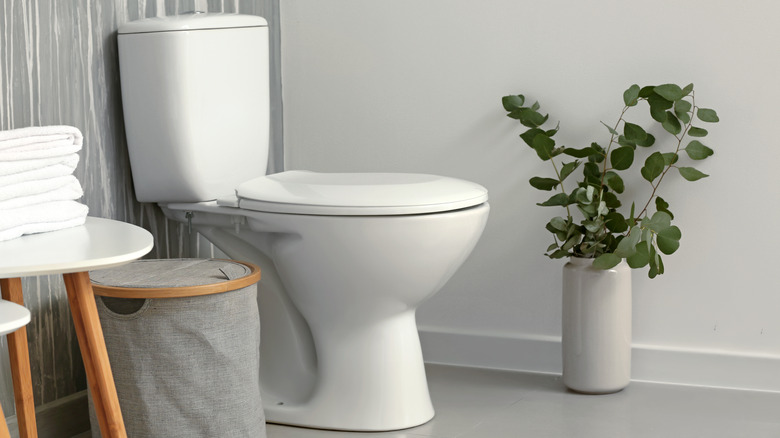 modern toilet interior