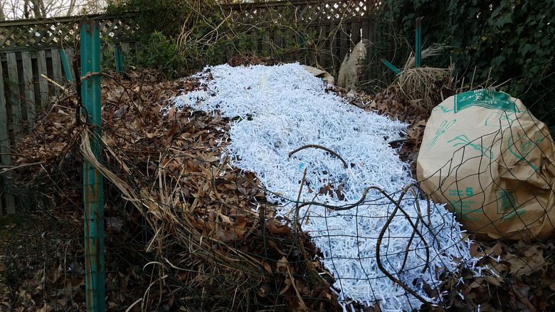 shredded paper on compost pile