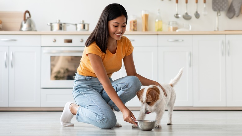 One Simple Hack Will Keep Ants From Invading Your Pet s Food Bowl