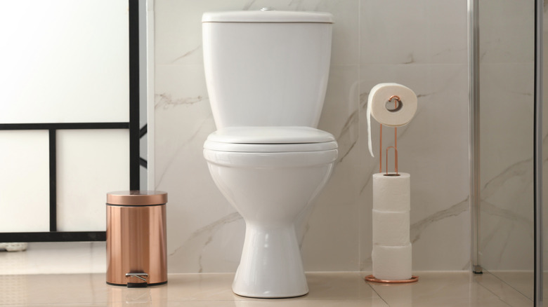 One Simple Way To Stop The Toilet Seat From Shifting Sideways